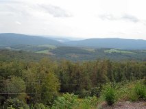 lush forests on the great allegheny passage