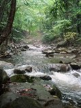 waterfalls and streams along the great allegheny passage
