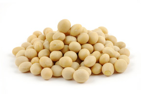 soy beans