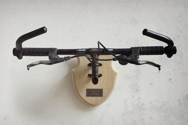 bicycle taxidermy