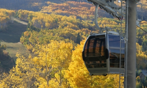 Vail Gondola Fall bike Trails