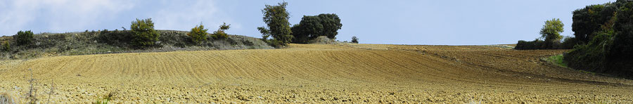 Spain Landscape